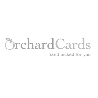 Winter Lighthouse A glittered advent calendar CARD (postal envelope